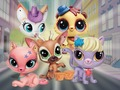 Jwèt Sou entènèt jwèt Little Pet Shop: Kache epi chèche  sou entènèt