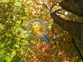 Jwèt Download jwèt la Hidden Gold Stars  sou entènèt