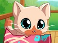 Jwèt Pòch bèt kay Kitty Kitty mwen  sou entènèt