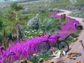 Jwèt Trail disparisyon  sou entènèt
