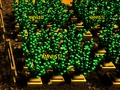 Jwèt Farm Pixel  sou entènèt