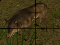 Jwèt Chasè Animal  sou entènèt