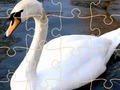 Jwèt Swan devinèt defi  sou entènèt