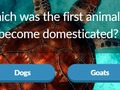 Jwèt Animal Trivia sou entènèt