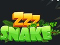 Jwèt ZZZ koulèv  sou entènèt