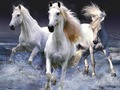 Jwèt Cheval  sou entènèt