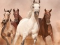 Jwèt Cheval devinèt  sou entènèt