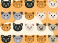 Jwèt Cute Kitty Koresponn ak 3  sou entènèt