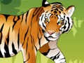 Jwèt Fache Tiger koloran  sou entènèt