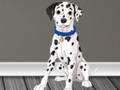Jwèt Veterinè Doktè sove 2  sou entènèt