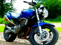 Jwèt Motosiklèt lou tèt  sou entènèt
