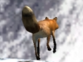 Jwèt Fox Hunter tirè  sou entènèt