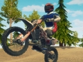 Jwèt Pousyè tè bisiklèt kous Enduro  sou entènèt