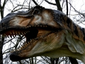 Jwèt T-Rex tèt dinozò  sou entènèt