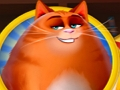 Jwèt Kitty Goumen  sou entènèt
