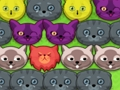 Jwèt Pop-Pòp kitties sou entènèt