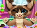 Jwèt Beny chat sou entènèt