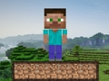 Jwèt Siviv Minecraft  sou entènèt