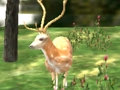 Jwèt Animal Safari Hunter 2020 sou entènèt