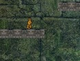 Jwèt Bunny avanti  sou entènèt