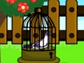 Jwèt Sou entènèt jwèt Dove chape  sou entènèt
