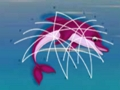 Jwèt Dolphin sekou  sou entènèt