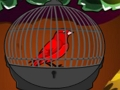 Jwèt Sou entènèt jwèt Cute Red Bird chape  sou entènèt
