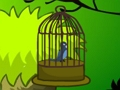 Jwèt Sou entènèt jwèt Cage Bird chape  sou entènèt