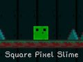Jwèt Sou entènèt jwèt Square Pixel Slime  sou entènèt