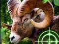 Jwèt Fou kabrit Hunter 2020 sou entènèt
