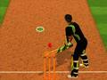 Jwèt Download jwèt la Cricket bat defi  sou entènèt
