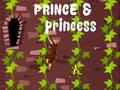 Jwèt Prince & Princess: Bo demand  sou entènèt