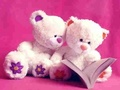 Jwèt Sou entènèt jwèt Cute Teddy Bears Slide  sou entènèt