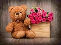 Jwèt Sou entènèt jwèt Cute Teddy Bears devinèt  sou entènèt