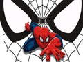 Jwèt Jwèt Spiderman Koresponn ak Kat  sou entènèt