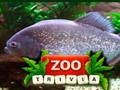 Jwèt Zou Trivia sou entènèt