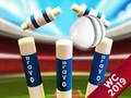 Jwèt Mini Cricket: Ground Championship World Cup 2019 sou entènèt
