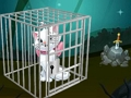 Jwèt Sou entènèt jwèt Cute chat chape  sou entènèt