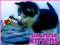 Jwèt Sis ti chat  sou entènèt