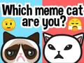 Jwèt Ki chat mem ou ye?  sou entènèt