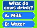 Jwèt Trivia Pi bon egzamen pou fanmi  sou entènèt