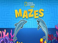Jwèt Nat Geo Kids Labirent  sou entènèt