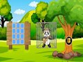 Jwèt Sove panda Explorer a  sou entènèt