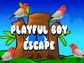 Jwèt Sou entènèt jwèt Playful Boy chape  sou entènèt