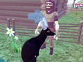 Jwèt Deer similatè 3D  sou entènèt