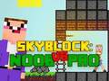 Jwèt Noob vs pro skyblock sou entènèt