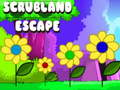 Jwèt Sou entènèt jwèt Scrubland chape  sou entènèt