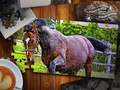 Jwèt Jigsaw Puzzle Cheval edisyon  sou entènèt