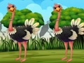 Jwèt Jwenn tag Ostrich la  sou entènèt