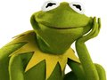 Jwèt Liv koloran pou Kermit krapo  sou entènèt